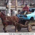 Andrei13