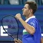 Leprotennis .