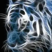 Abhishek Chaudhary