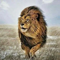 Louis-Marie Guimendé