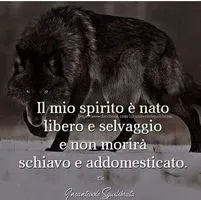 Giovanna R.