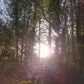 Demoulin-De Giorgi Chant