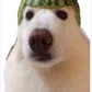 LeFrancoKazakh