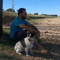 Tim Lolicato
