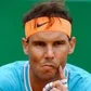 Bigbossrafa