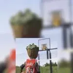 paulcrrr1