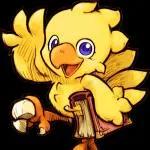 A “Chocobo51” T