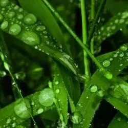 mihailpereverzev52947