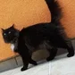 Poupou93