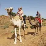 profpof