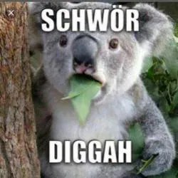 Diggah