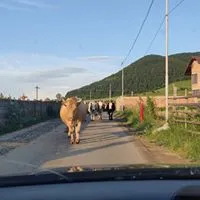Airizer Csaba