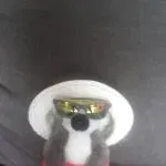 TWS