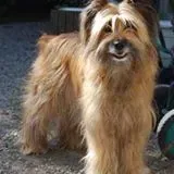 Marine Magre Reichhard