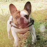 Oscar94
