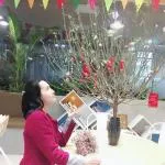 MaiNguyen