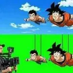 Naw Fel
