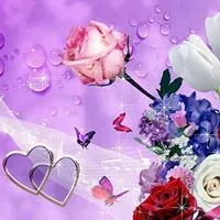 Lokesh Lokesh