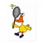 coolyadutennis