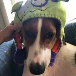MemphisEugenie