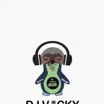 DJ Vicky .