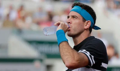 Del Potro se confesse : « J’imaginais être numéro 1 après l’Open d’Australie 2019 »