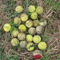 Allonsjouerautennis
