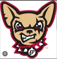 Chihuahuasbet