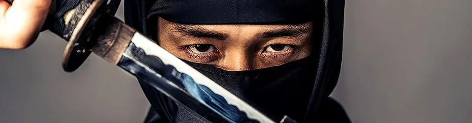 Shinobi banner