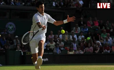 Suivez Djokovic vs Del Potro en Live depuis Wimbledon